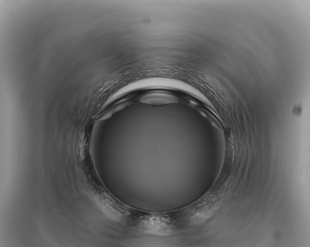 X0000096170223200801251159