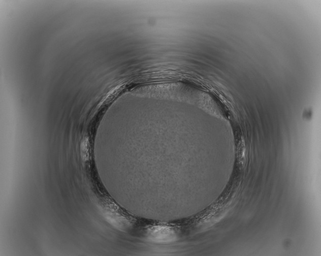 X0000096170224200801251159