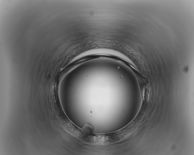 X0000096170225200801251159