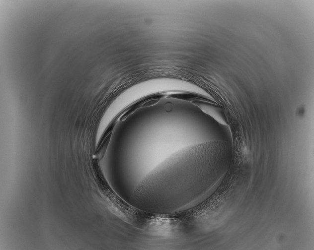 X0000096170227200801251159