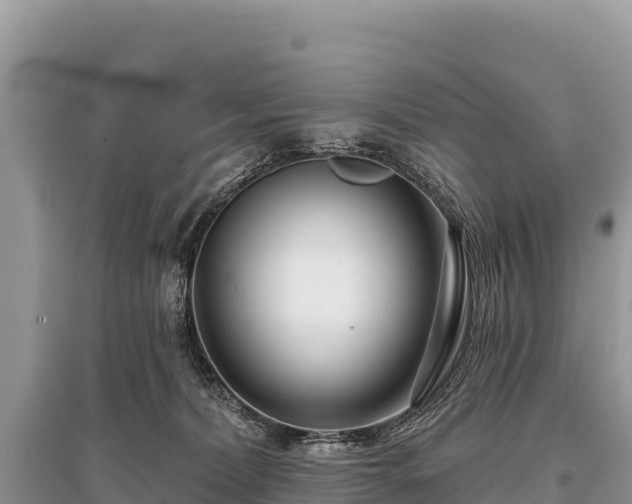 X0000096170228200801251159