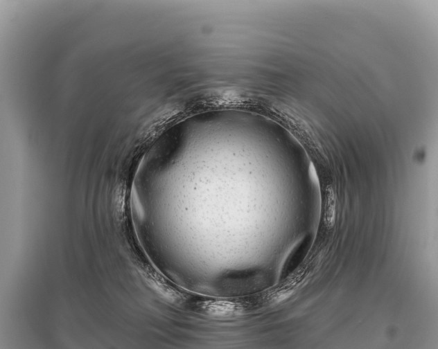 X0000096170230200801251159