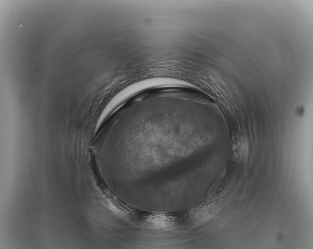 X0000096170231200801251159