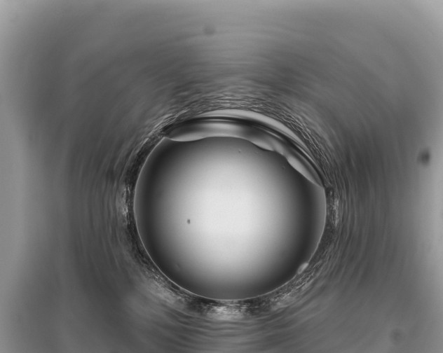 X0000096170232200801251159