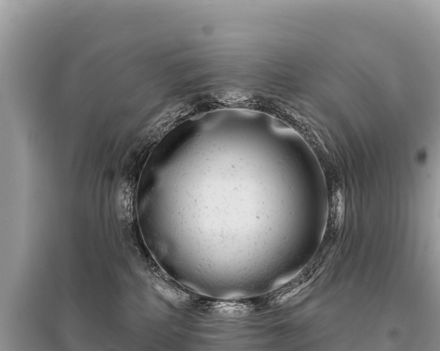 X0000096170234200801251159