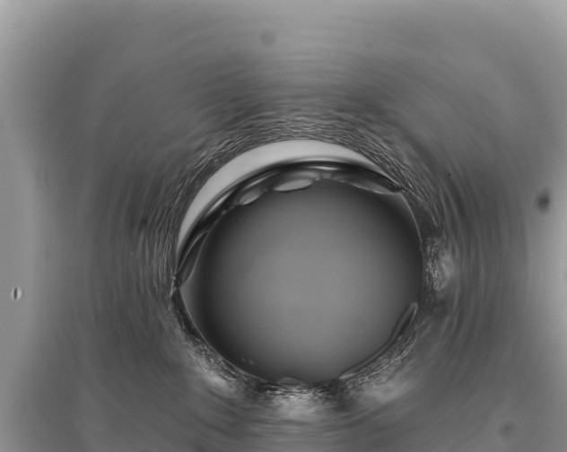 X0000096170235200801251159