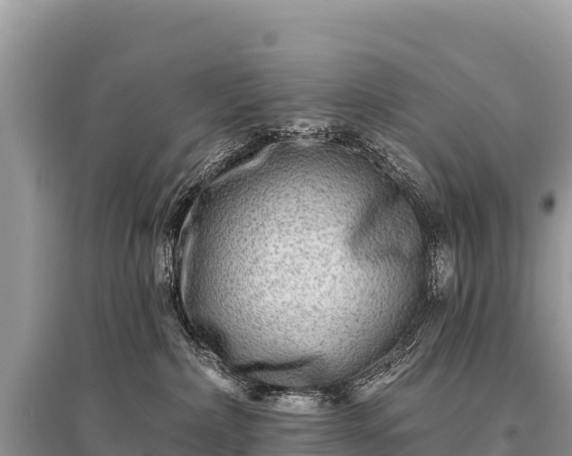 X0000096170236200801251159