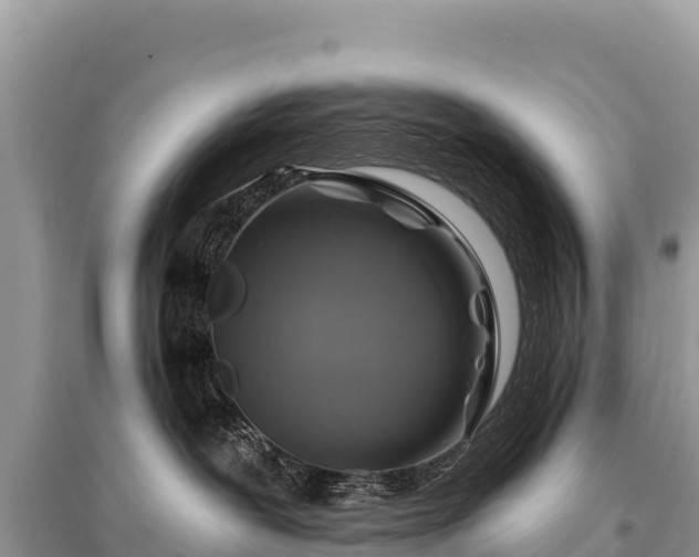 X0000096170239200801251159