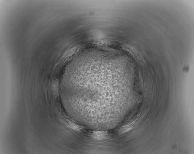 X0000096170240200801251159