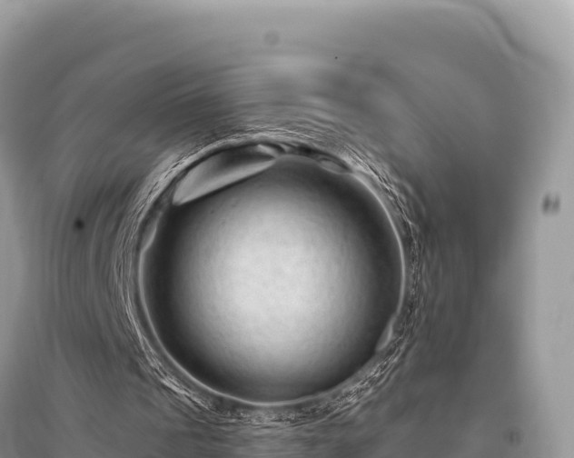 X0000096170241200801251158