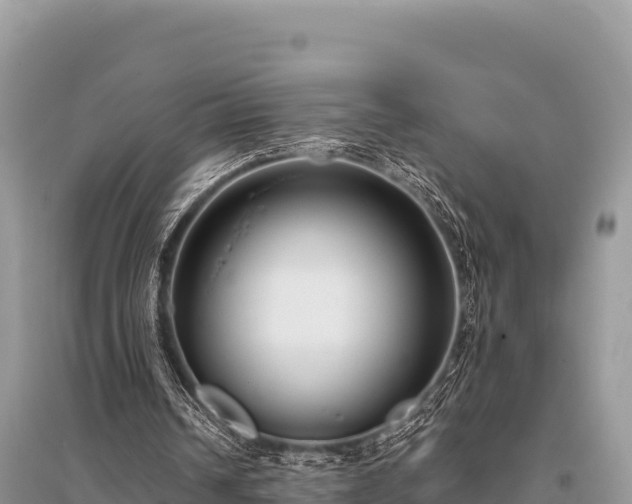 X0000096170242200801251158