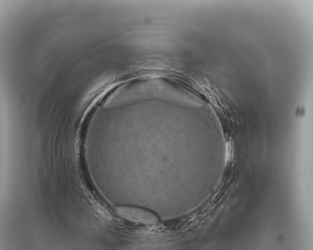 X0000096170243200801251158