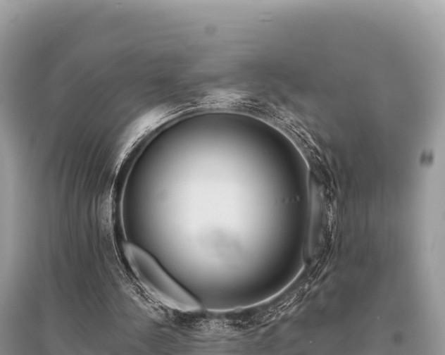 X0000096170244200801251158