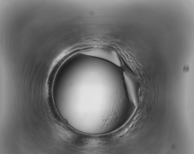 X0000096170246200801251158