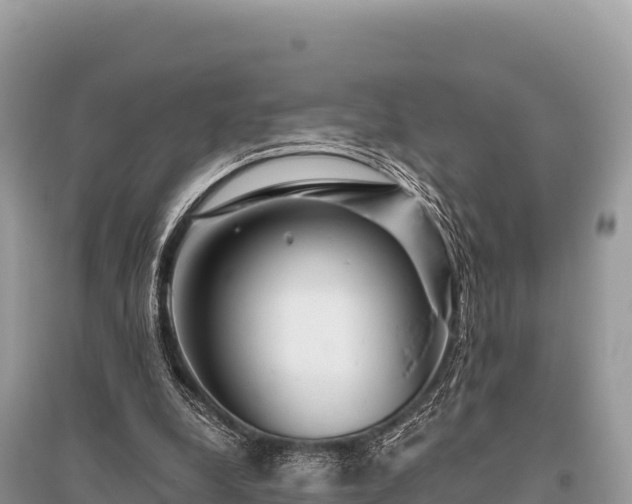 X0000096170248200801251158