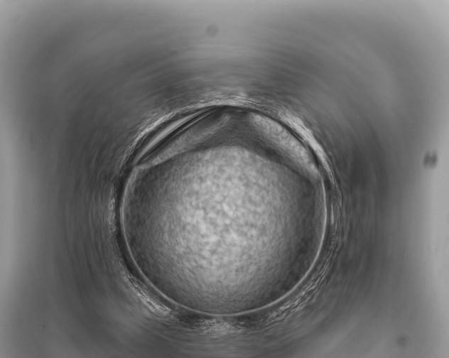 X0000096170249200801251158