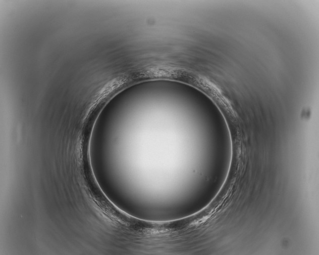 X0000096170250200801251158