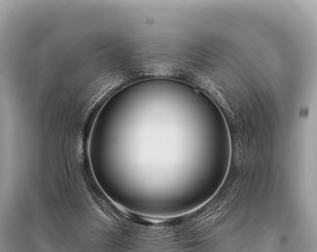 X0000096170251200801251158