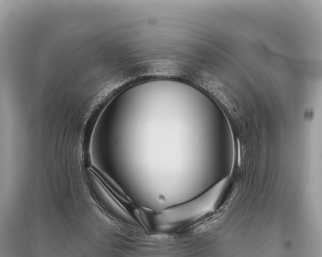 X0000096170252200801251158