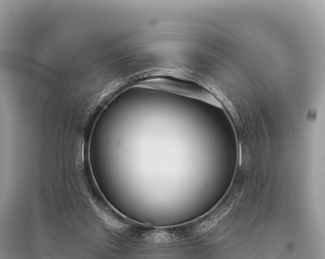 X0000096170253200801251158