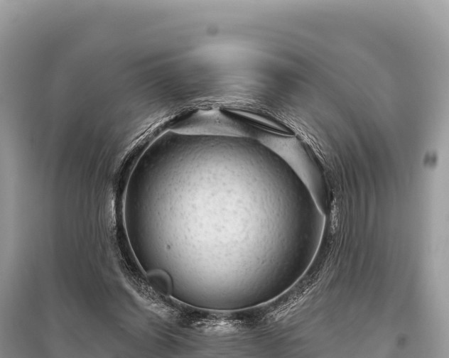 X0000096170254200801251158