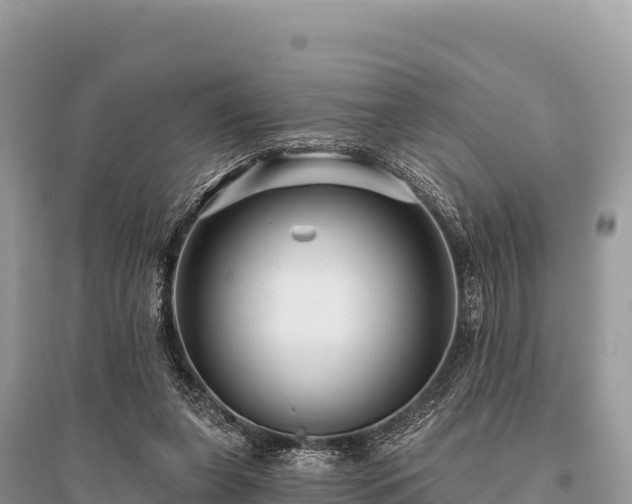 X0000096170255200801251158