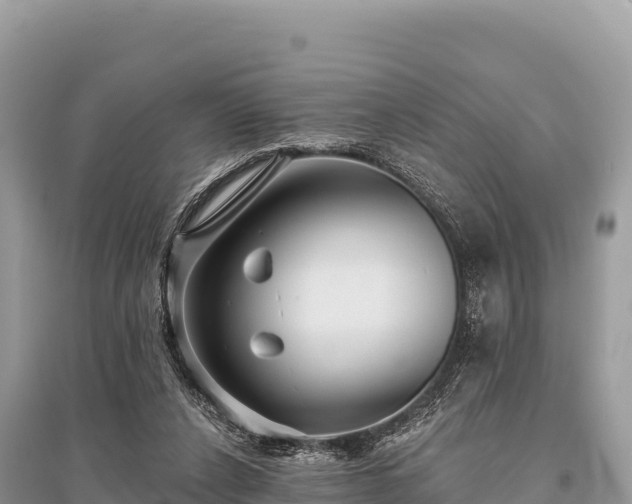 X0000096170256200801251158