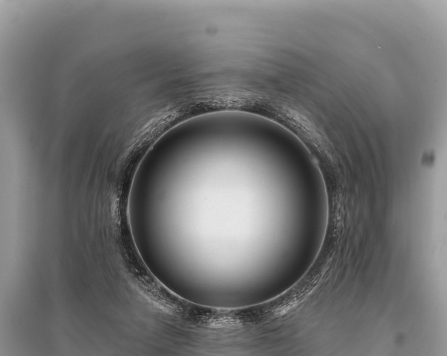 X0000096170258200801251158