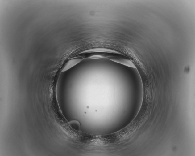 X0000096170259200801251158