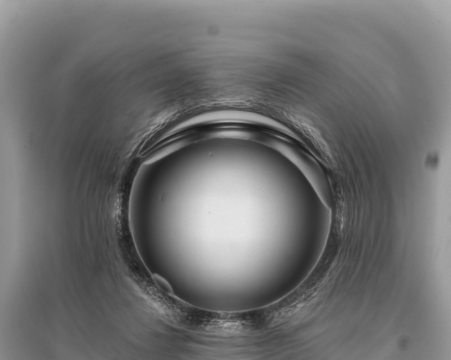 X0000096170260200801251158