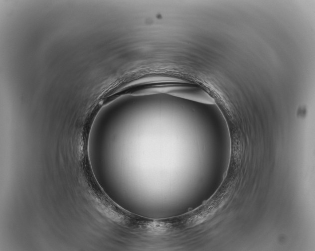 X0000096170261200801251158