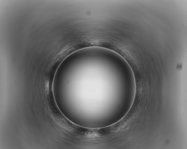 X0000096170262200801251158