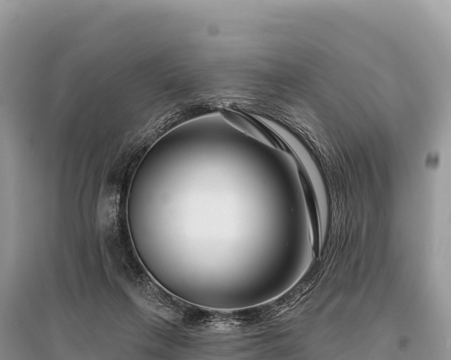 X0000096170263200801251158