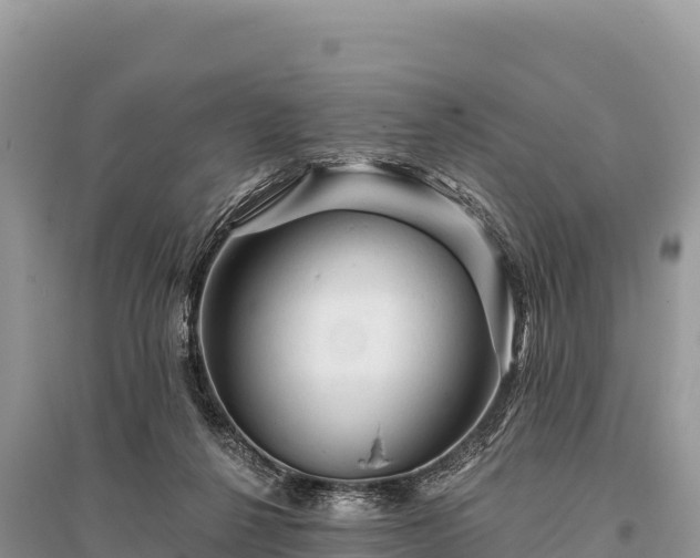 X0000096170264200801251158