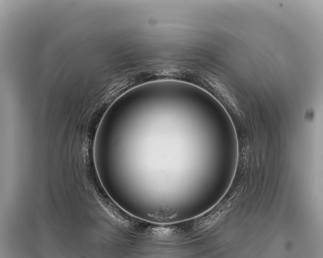 X0000096170265200801251158