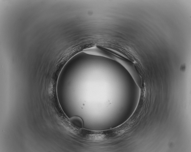 X0000096170266200801251158