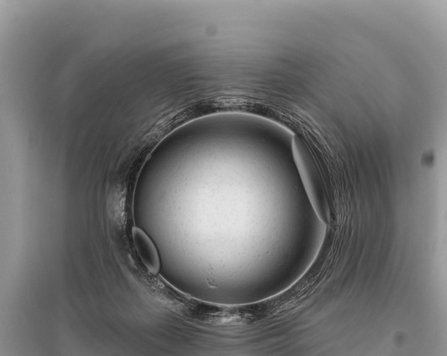 X0000096170267200801251158