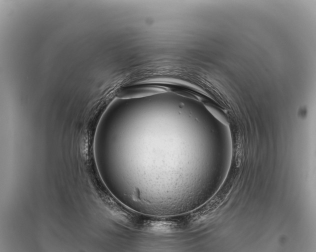 X0000096170268200801251158