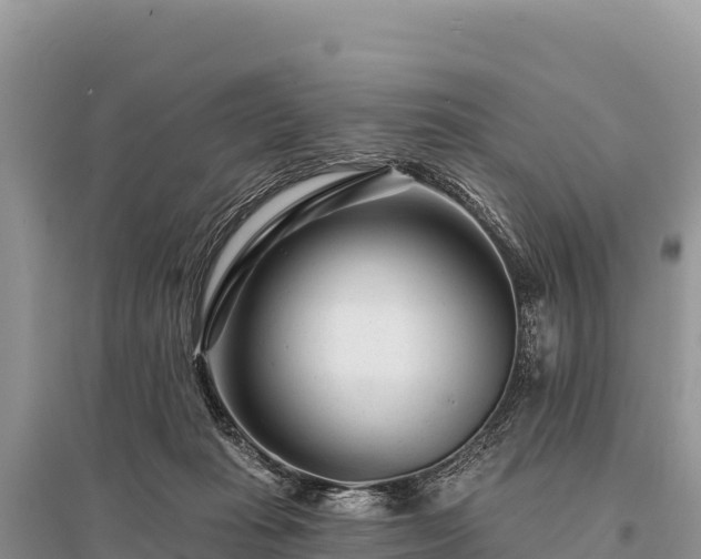 X0000096170269200801251158