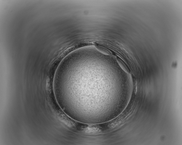 X0000096170270200801251158