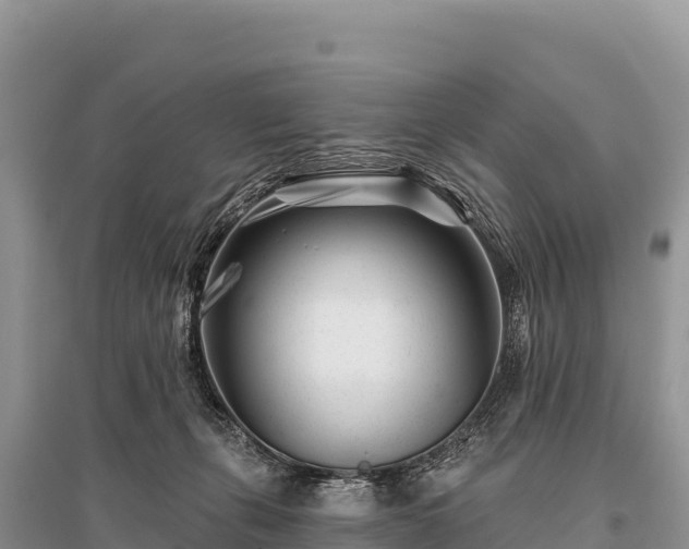 X0000096170271200801251158