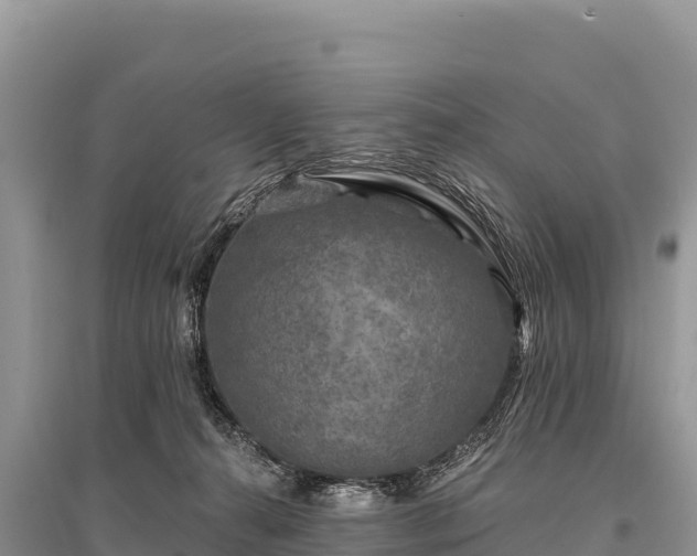 X0000096170272200801251158