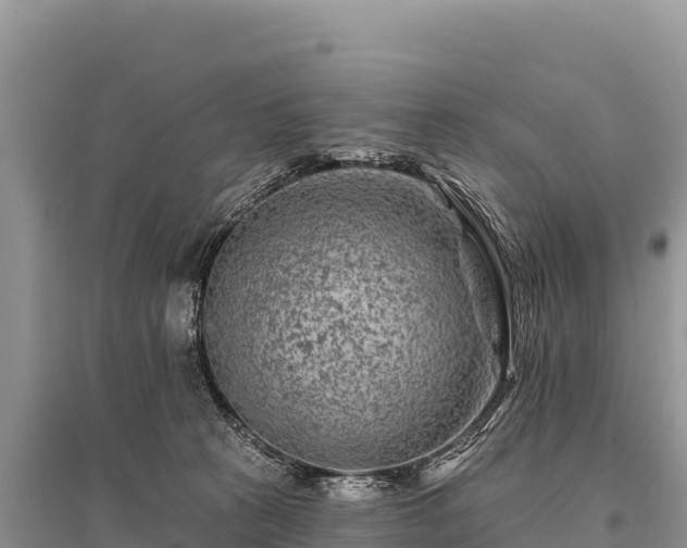 X0000096170273200801251158