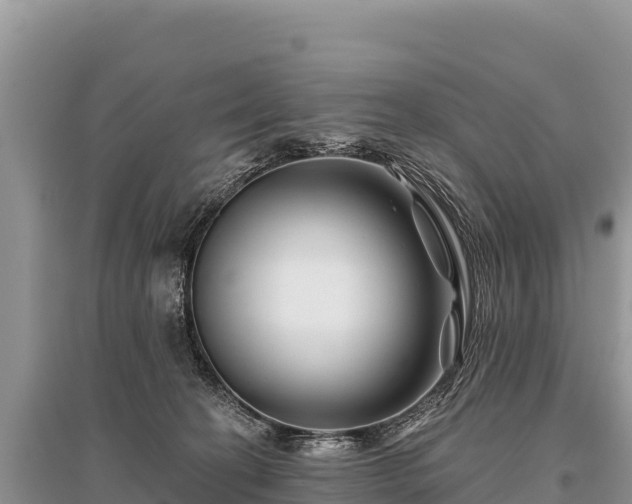 X0000096170274200801251158