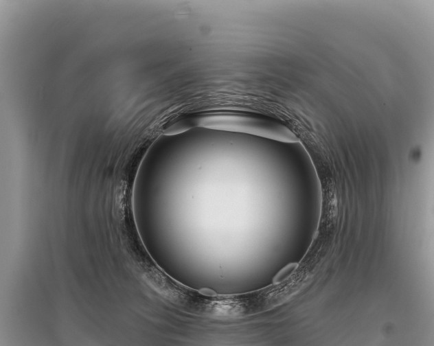 X0000096170275200801251158