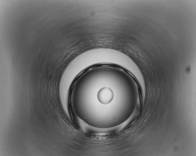 X0000096170276200801251158