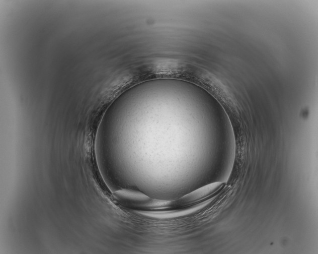 X0000096170277200801251158