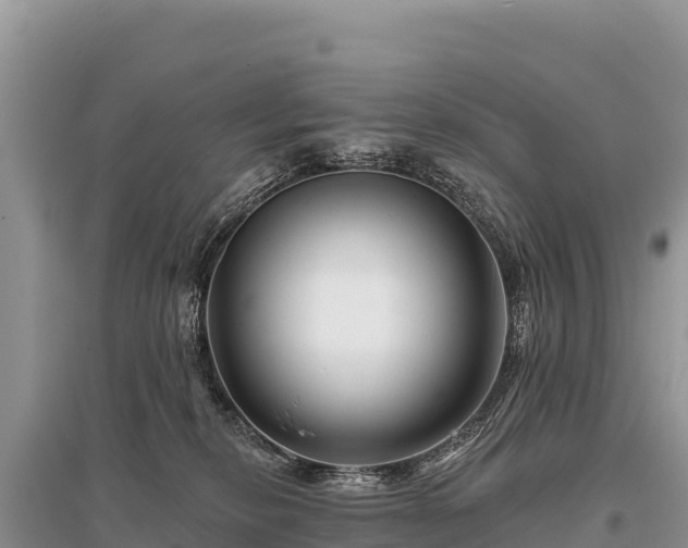 X0000096170278200801251158