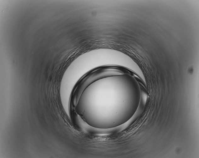 X0000096170280200801251158