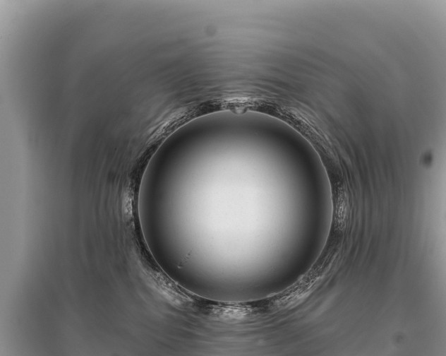 X0000096170282200801251159